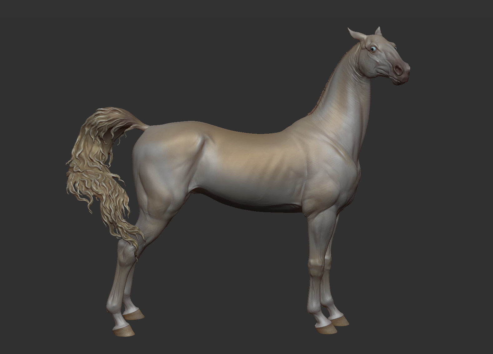 3 Horses 3D Model Collection_26