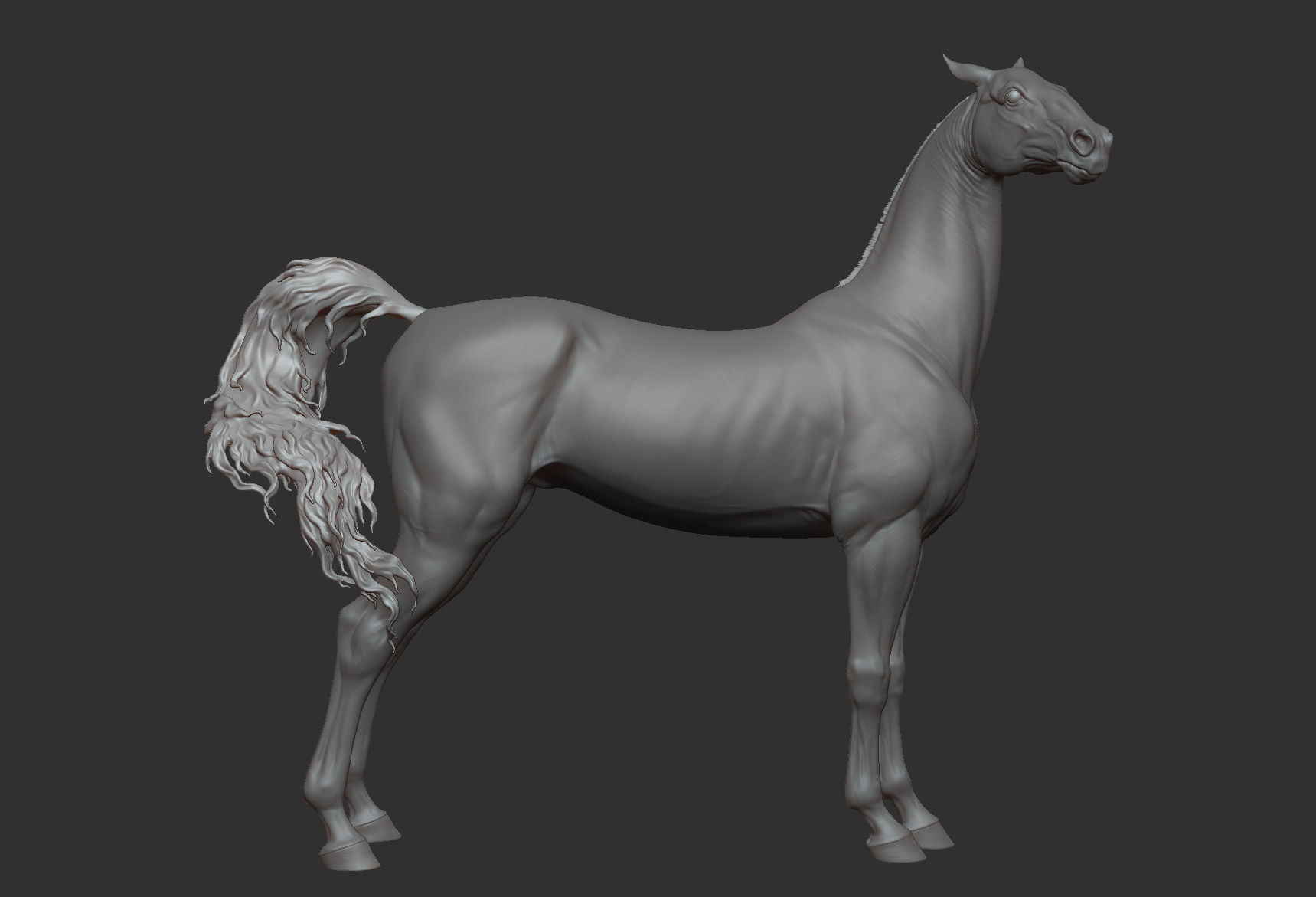 3 Horses 3D Model Collection_27