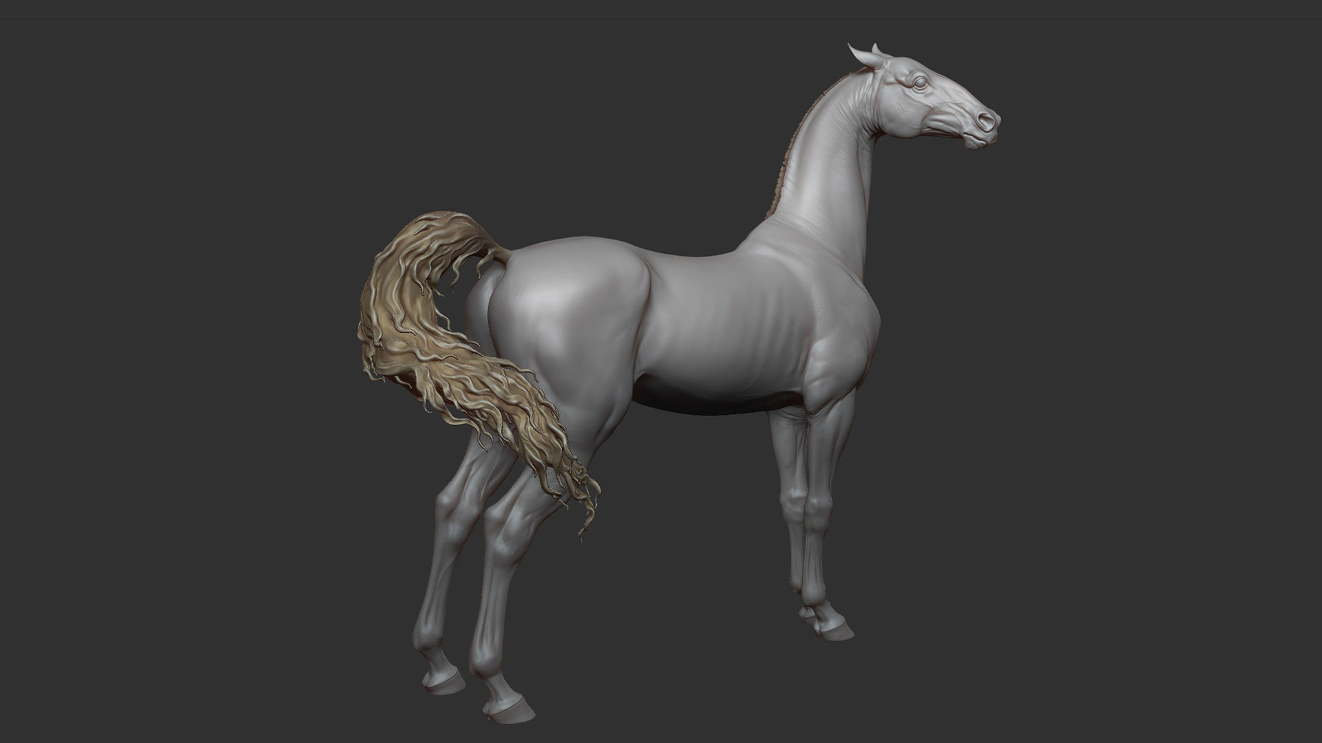 3 Horses 3D Model Collection_25