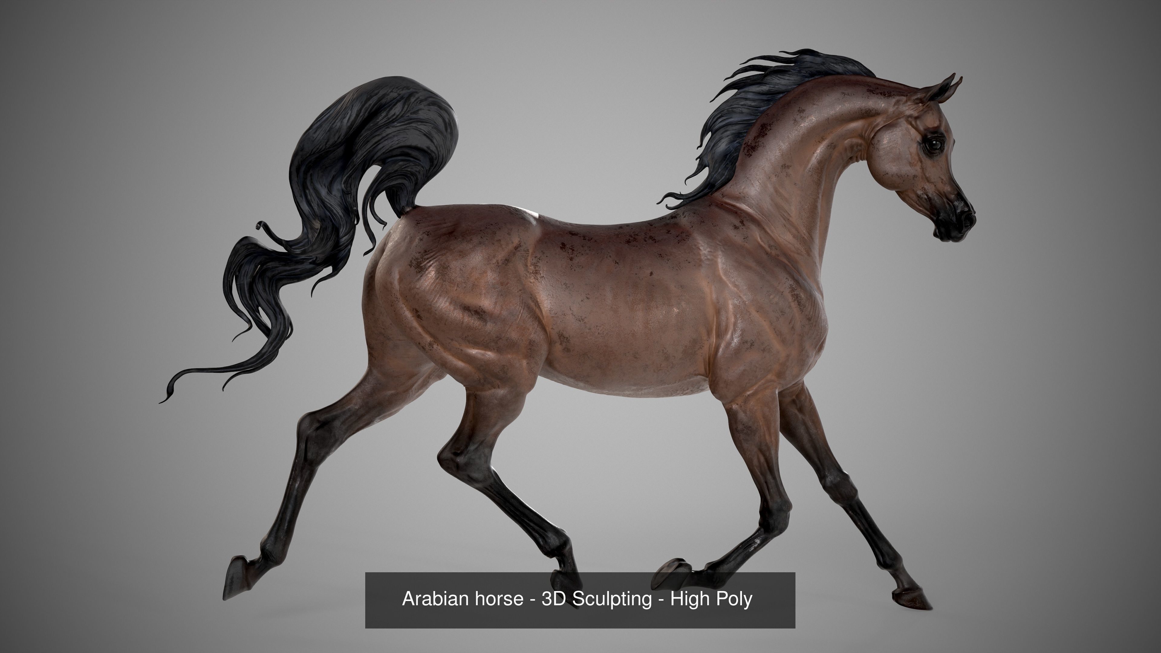 3 Horses 3D Model Collection_3