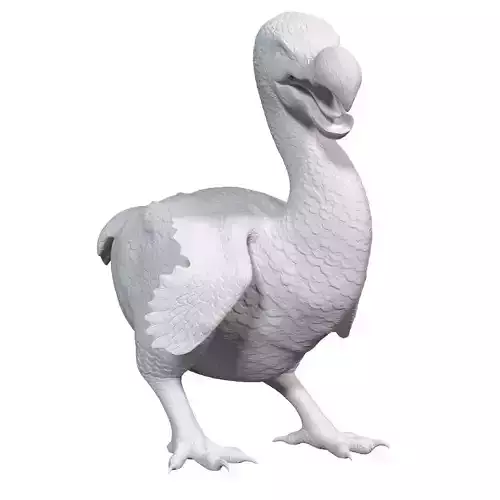 Dodo 3d print 3D print model