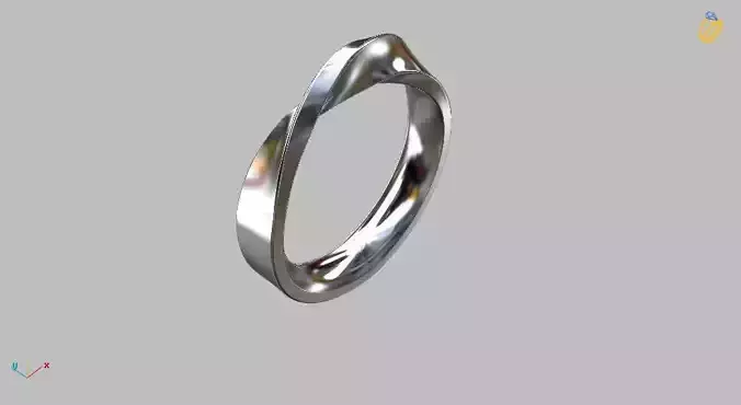 Twisted Wire Ring 3D print model