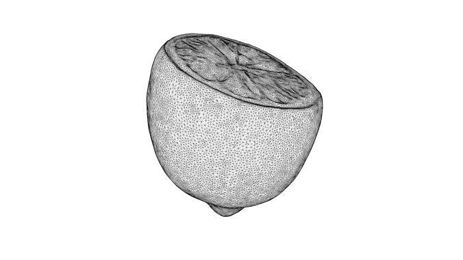 Photorealistic 3D scan of half a Lemon Low-poly 3D model 5