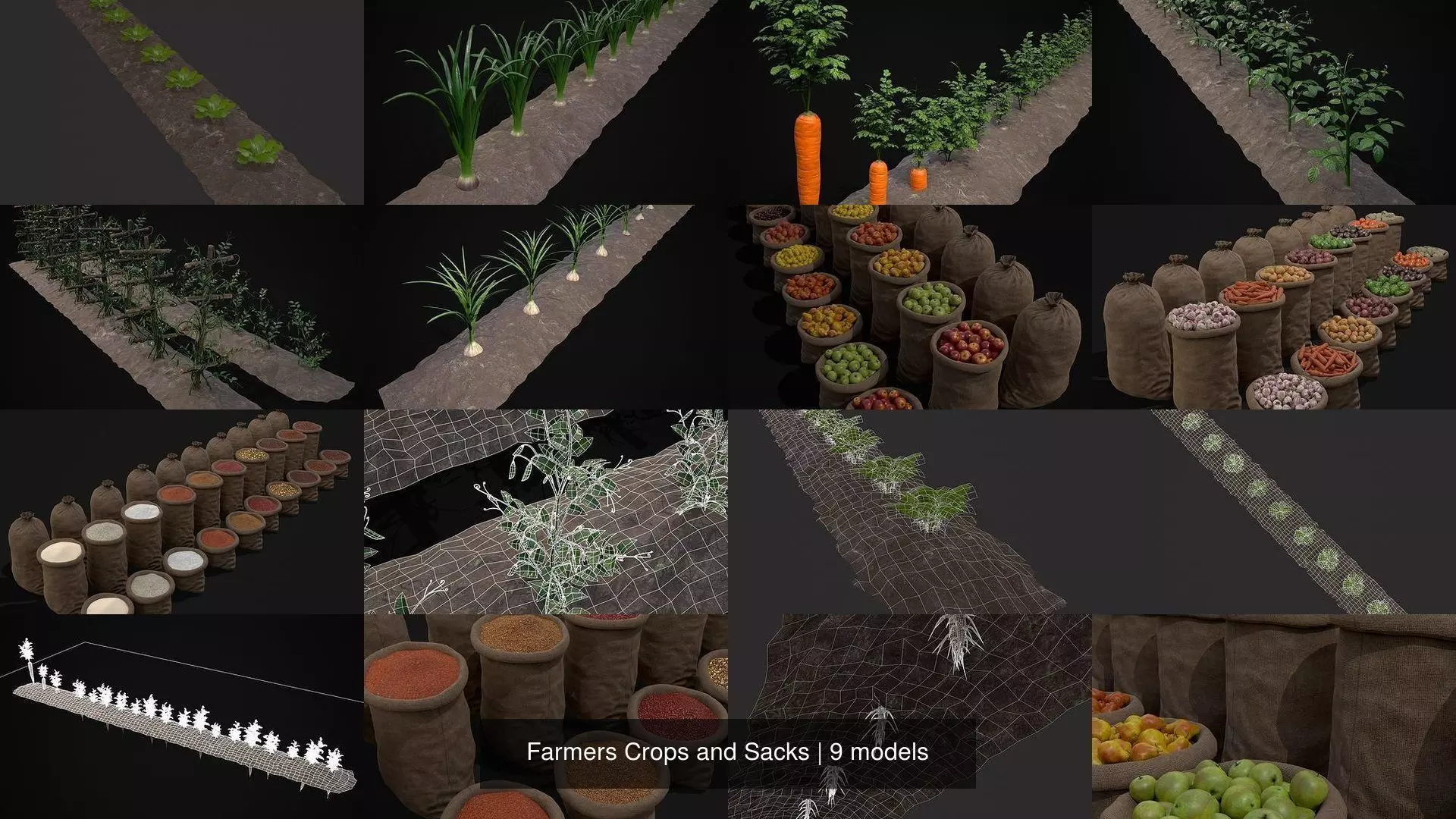 Farmers Crops and Sacks 3D Model Collection_1