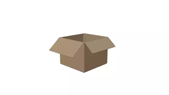 Cardboard Box