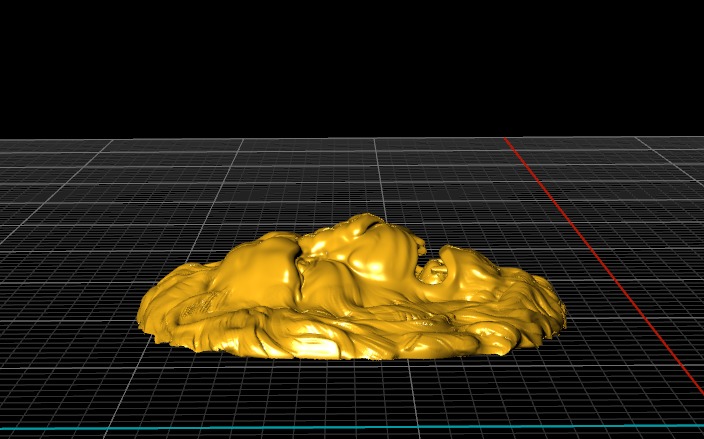head of lion  3D print model_12