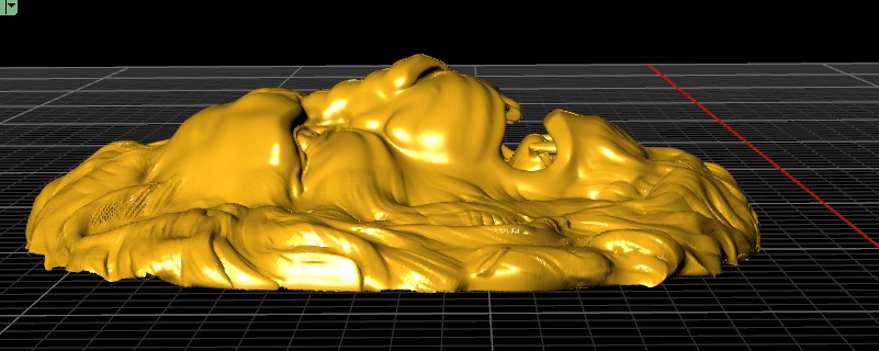 head of lion  3D print model_14