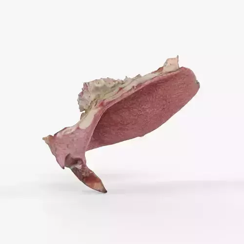Photorealistic 3D scan of pomegranate skin