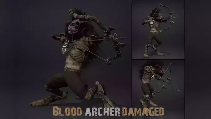 Blood Archer Damaged