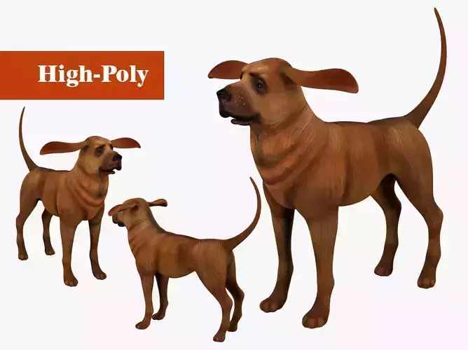 dog  rig  high-poly  textured