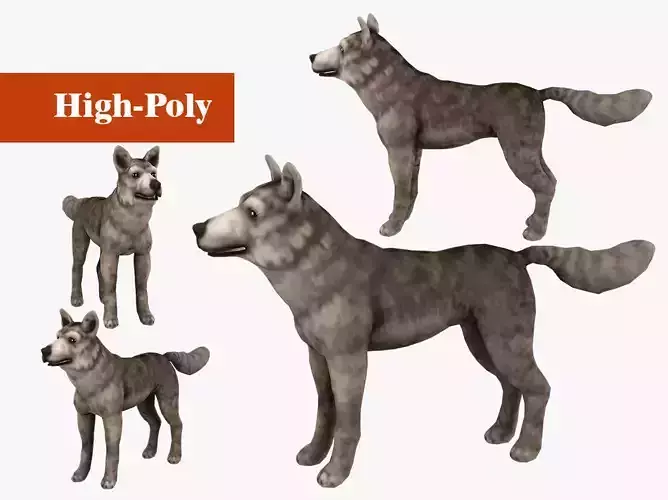 wolf  rig  high-poly  textured 3D model