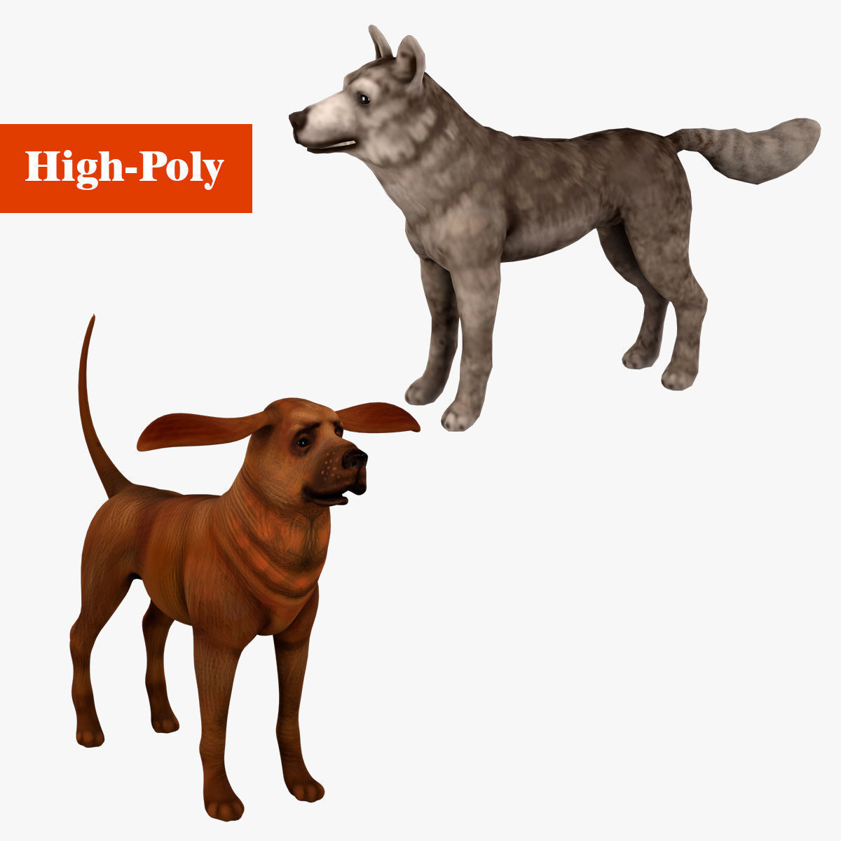dog wolf  rig  high-poly  textured 3D Model Collection_2