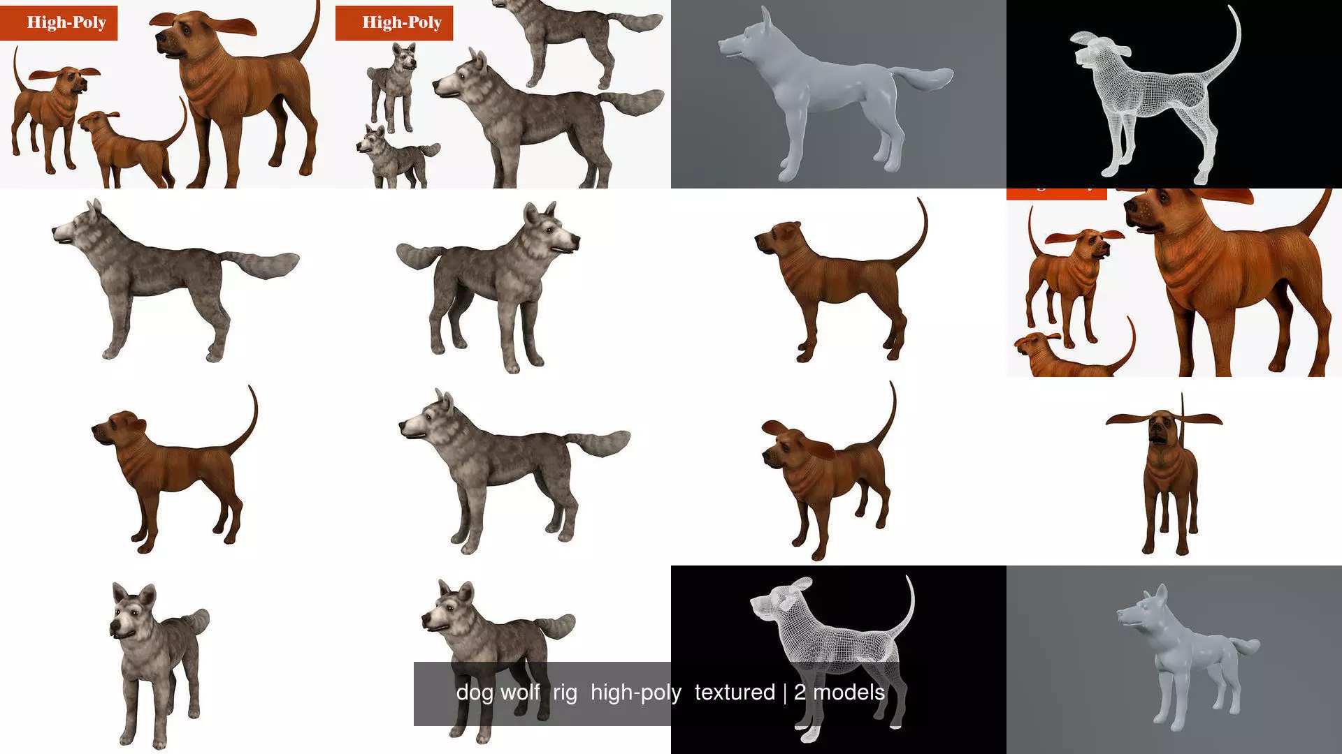 dog wolf  rig  high-poly  textured 3D Model Collection_1