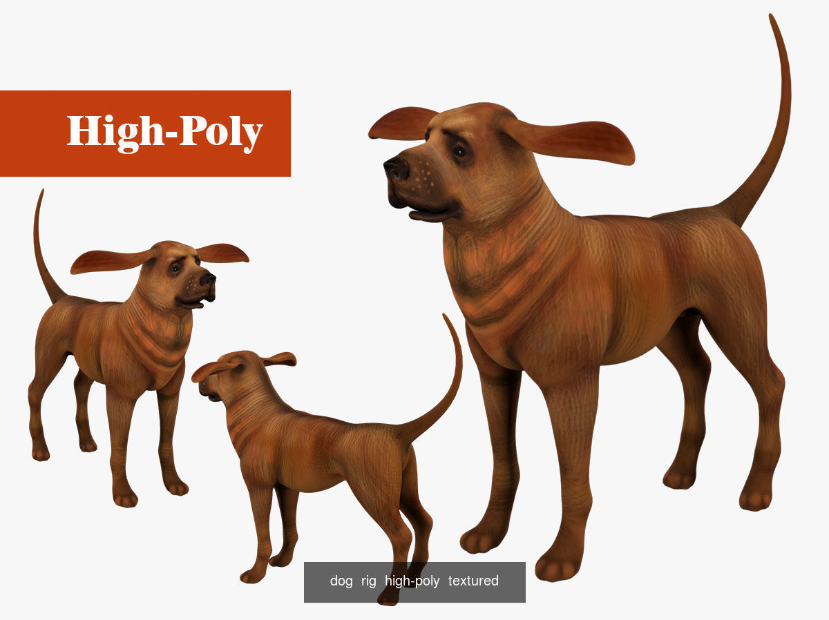 dog wolf  rig  high-poly  textured 3D Model Collection_3