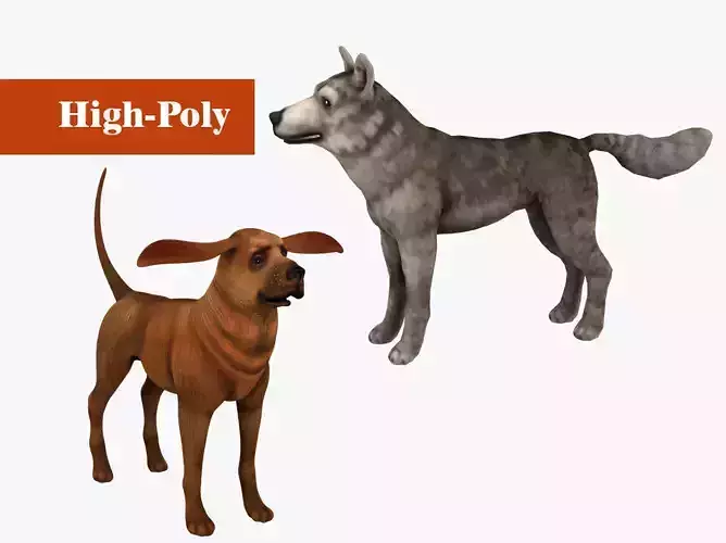 dog wolf  rig  high-poly  textured