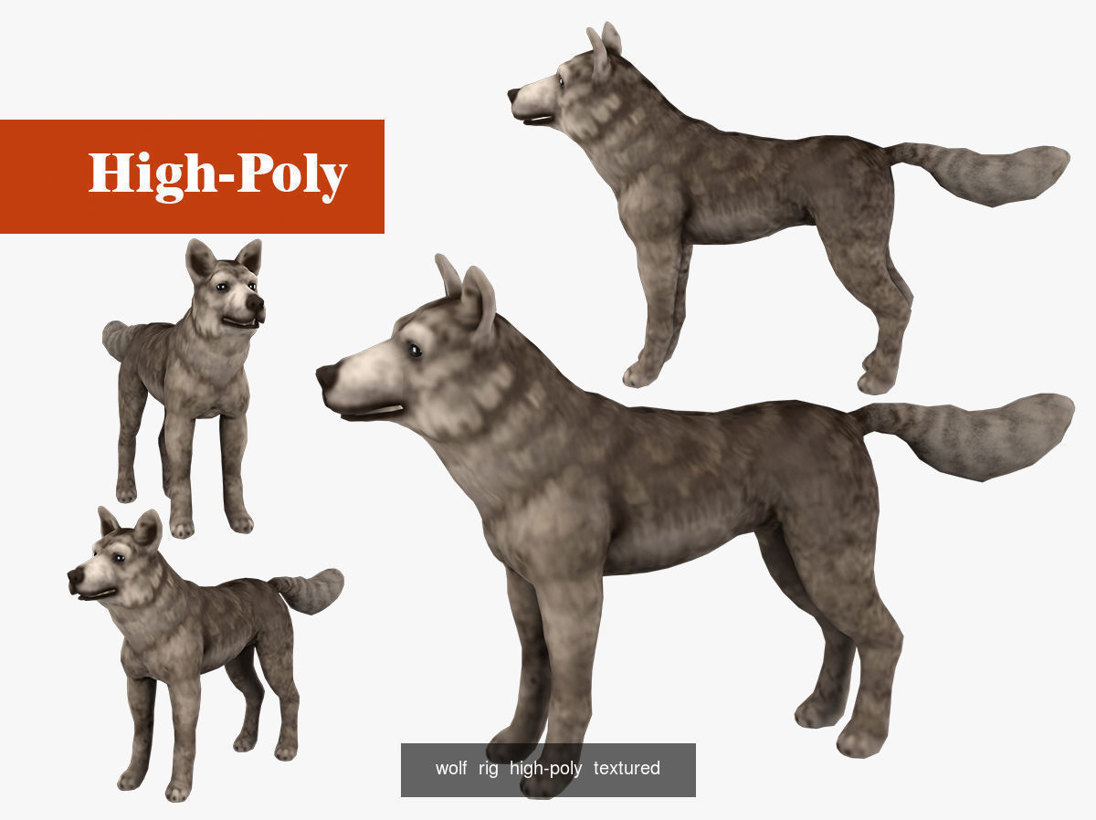 dog wolf  rig  high-poly  textured 3D Model Collection_4