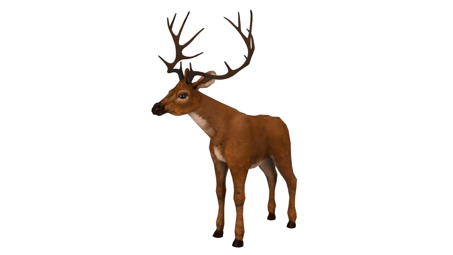 Deer  rig  high-poly  textured 3D model_2