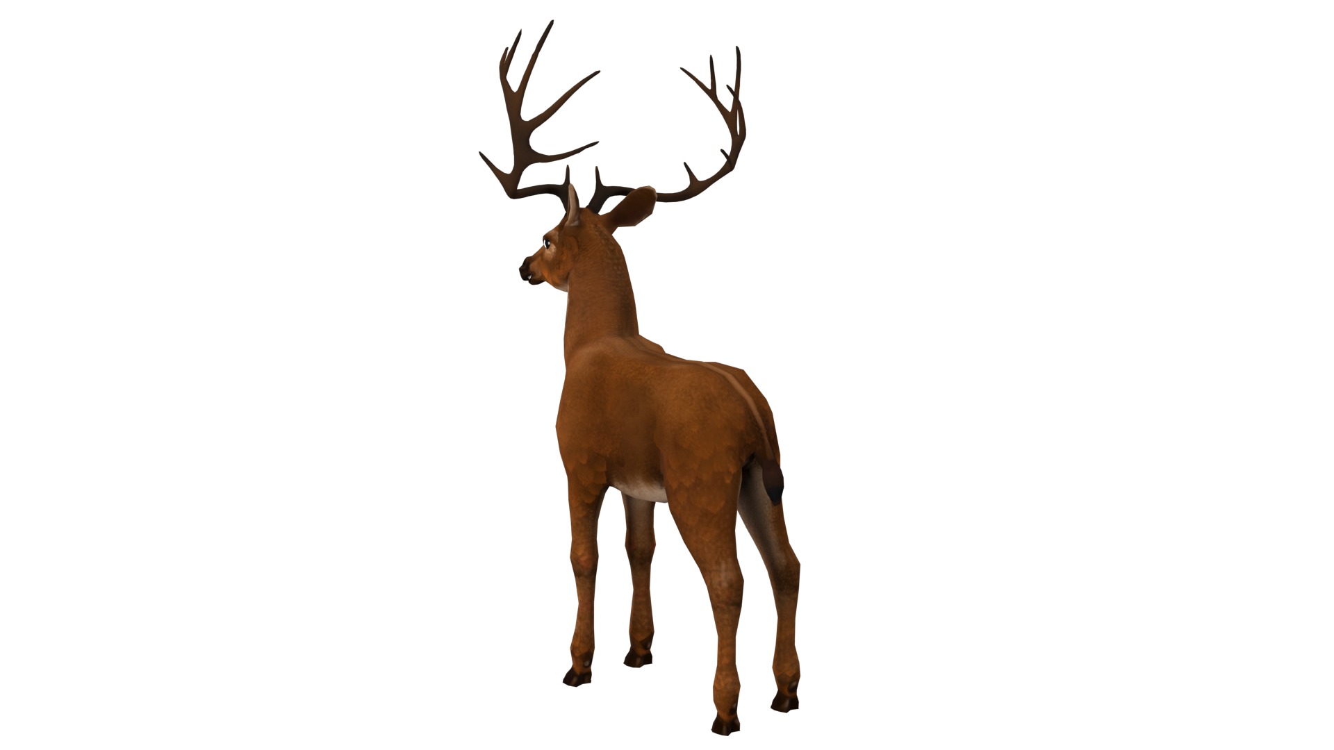 Deer  rig  high-poly  textured 3D model_8