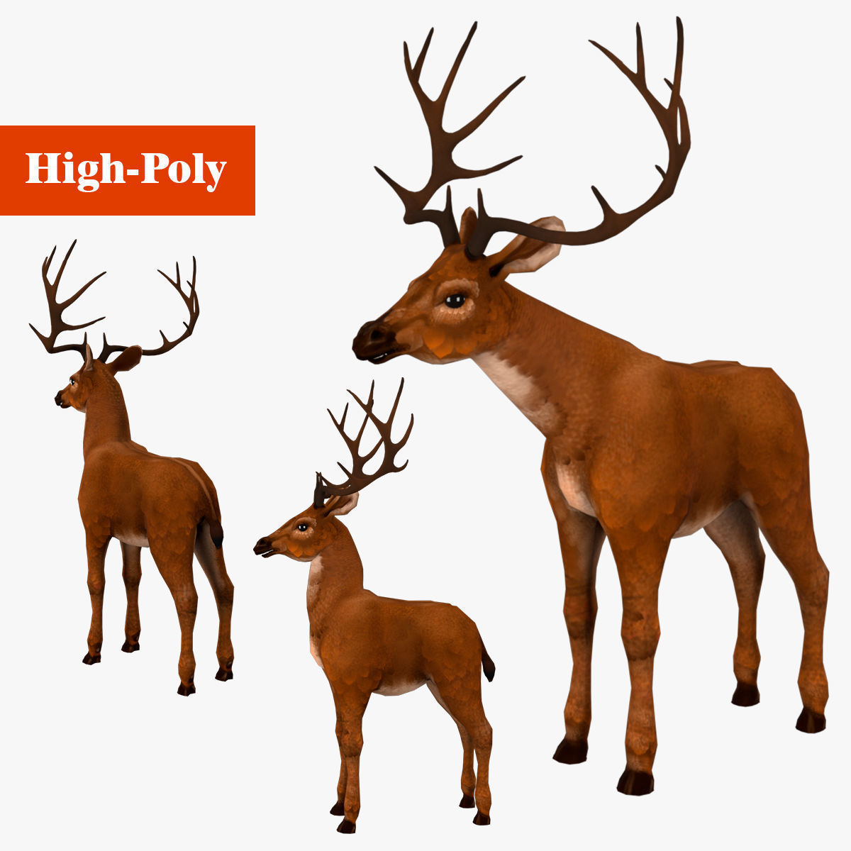 Deer  rig  high-poly  textured 3D model_1