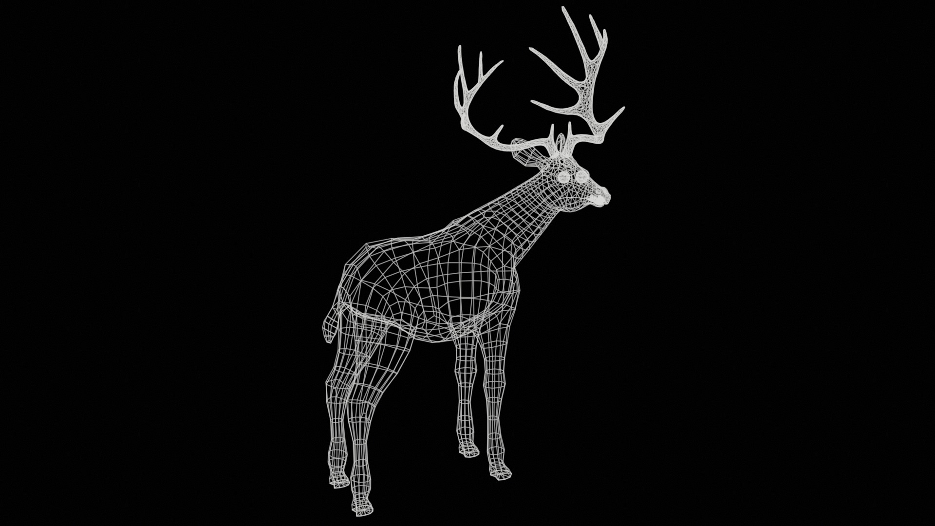 Deer  rig  high-poly  textured 3D model_26