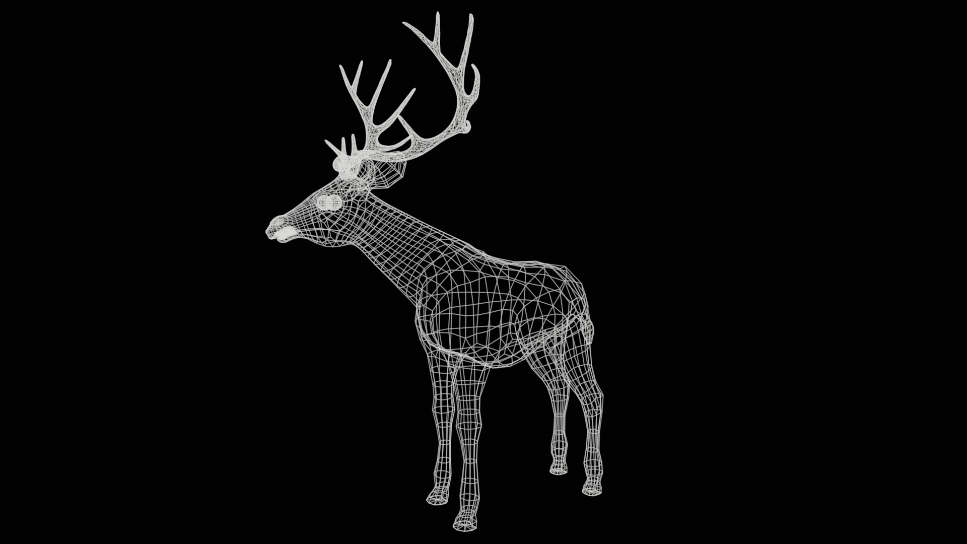 Deer  rig  high-poly  textured 3D model_20