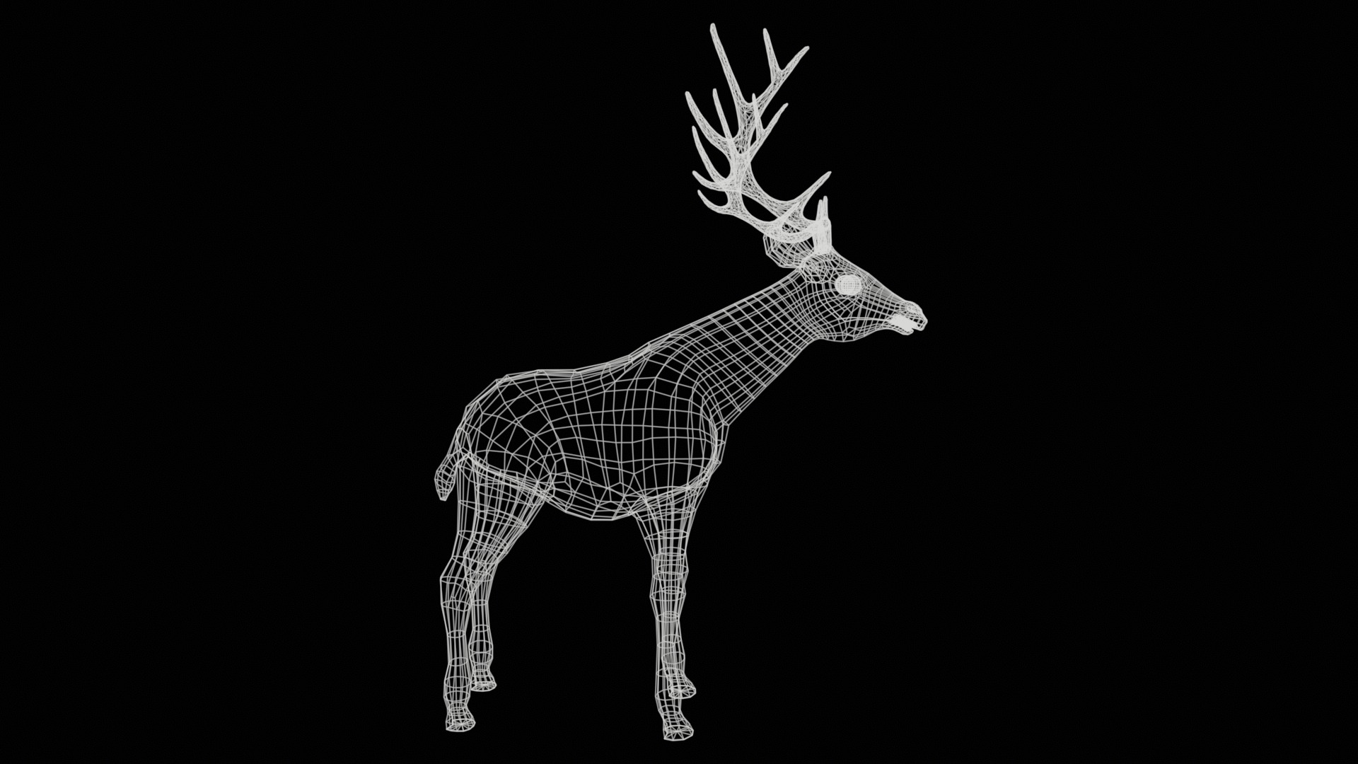 Deer  rig  high-poly  textured 3D model_27