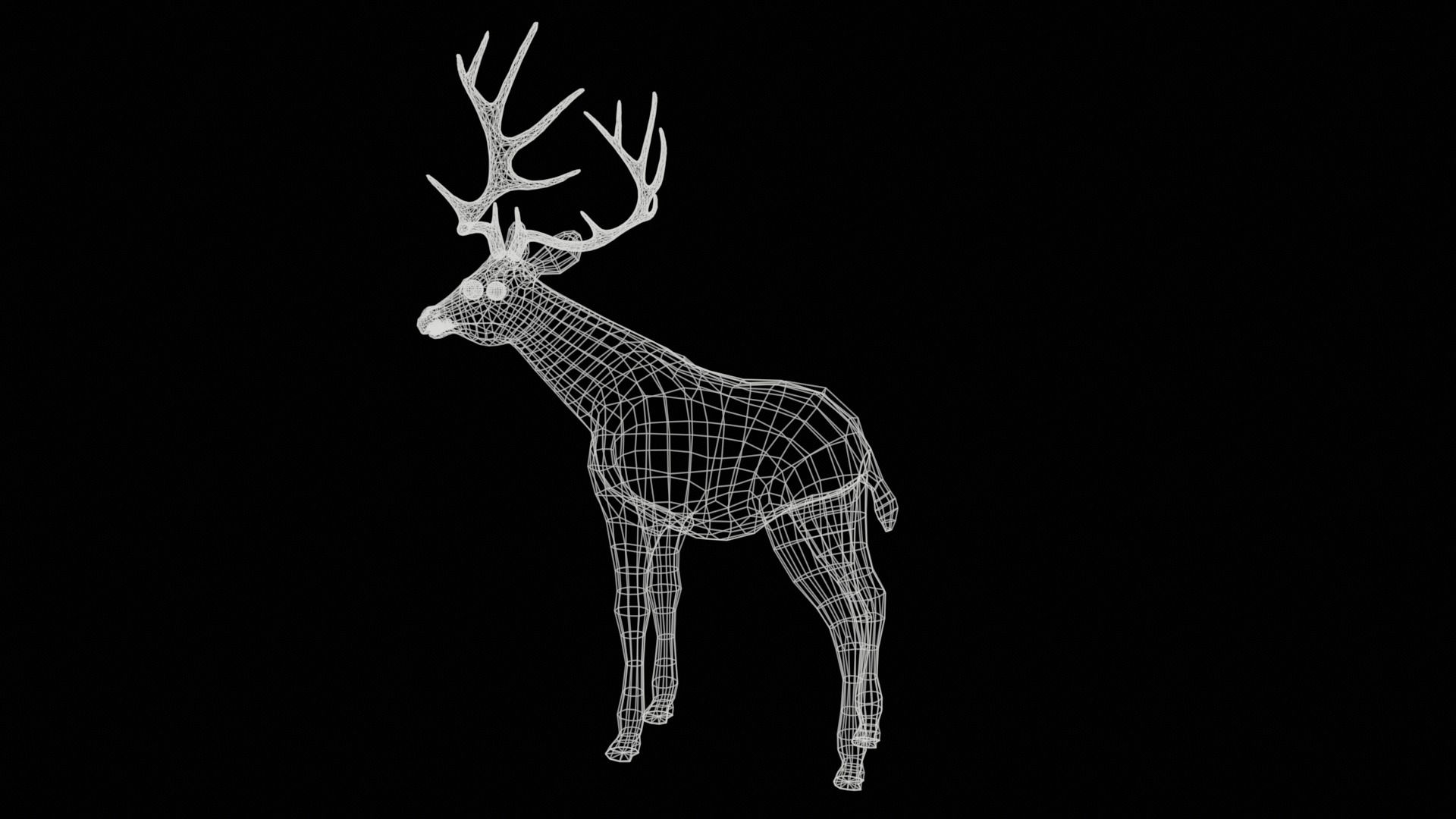 Deer  rig  high-poly  textured 3D model_23