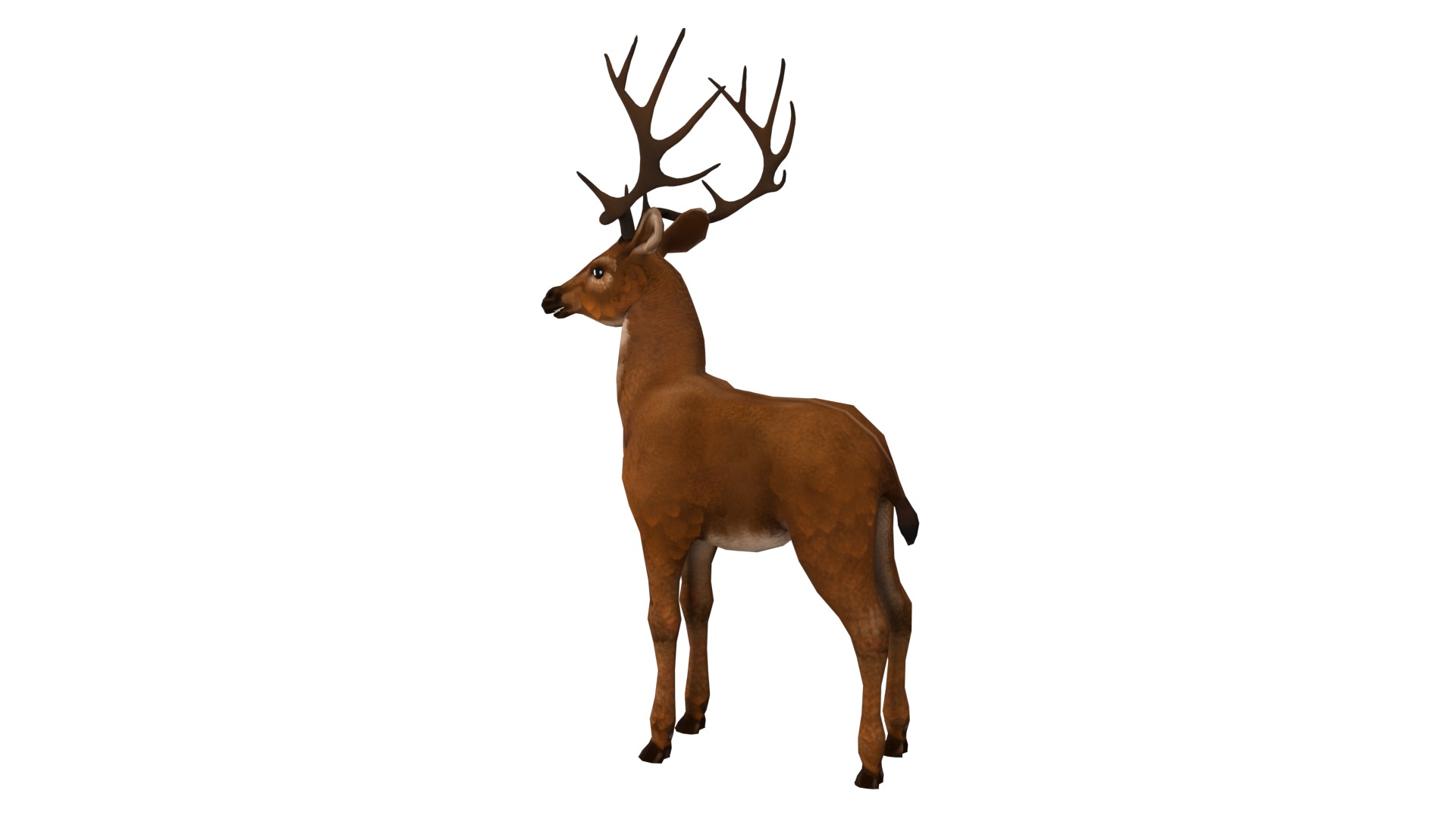 Deer  rig  high-poly  textured 3D model_7