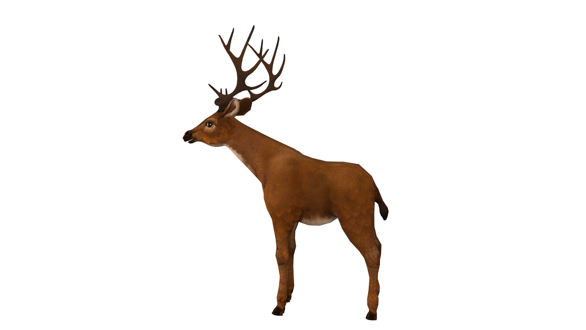 Deer  rig  high-poly  textured 3D model_9