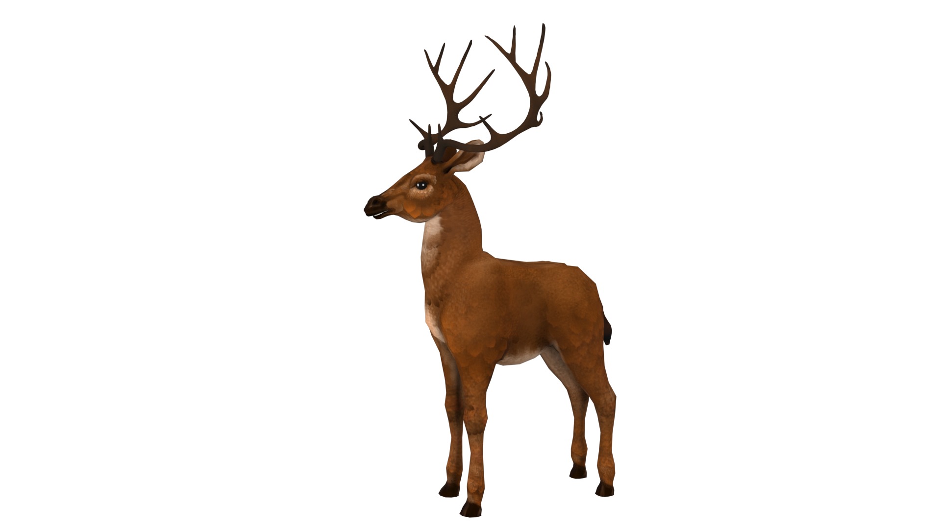 Deer  rig  high-poly  textured 3D model_3