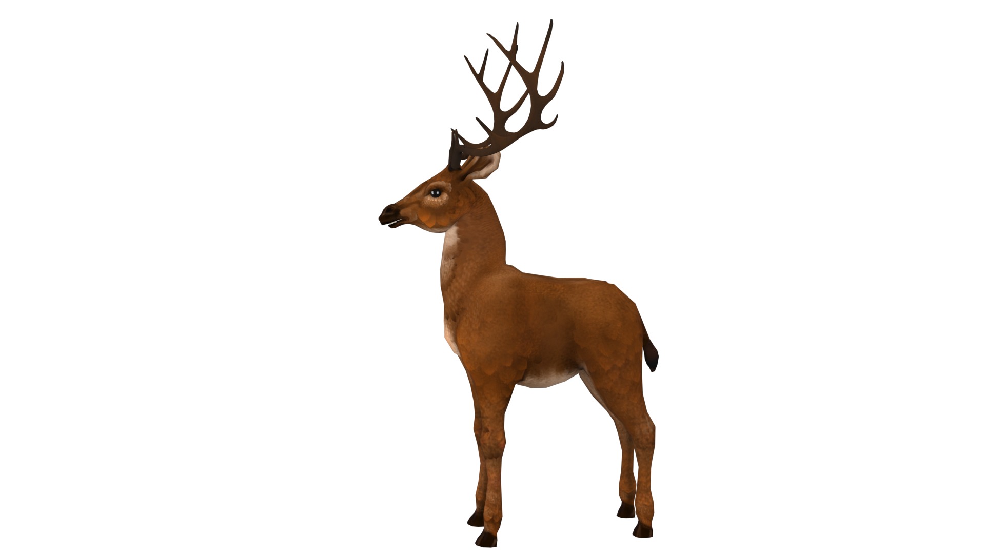 Deer  rig  high-poly  textured 3D model_6