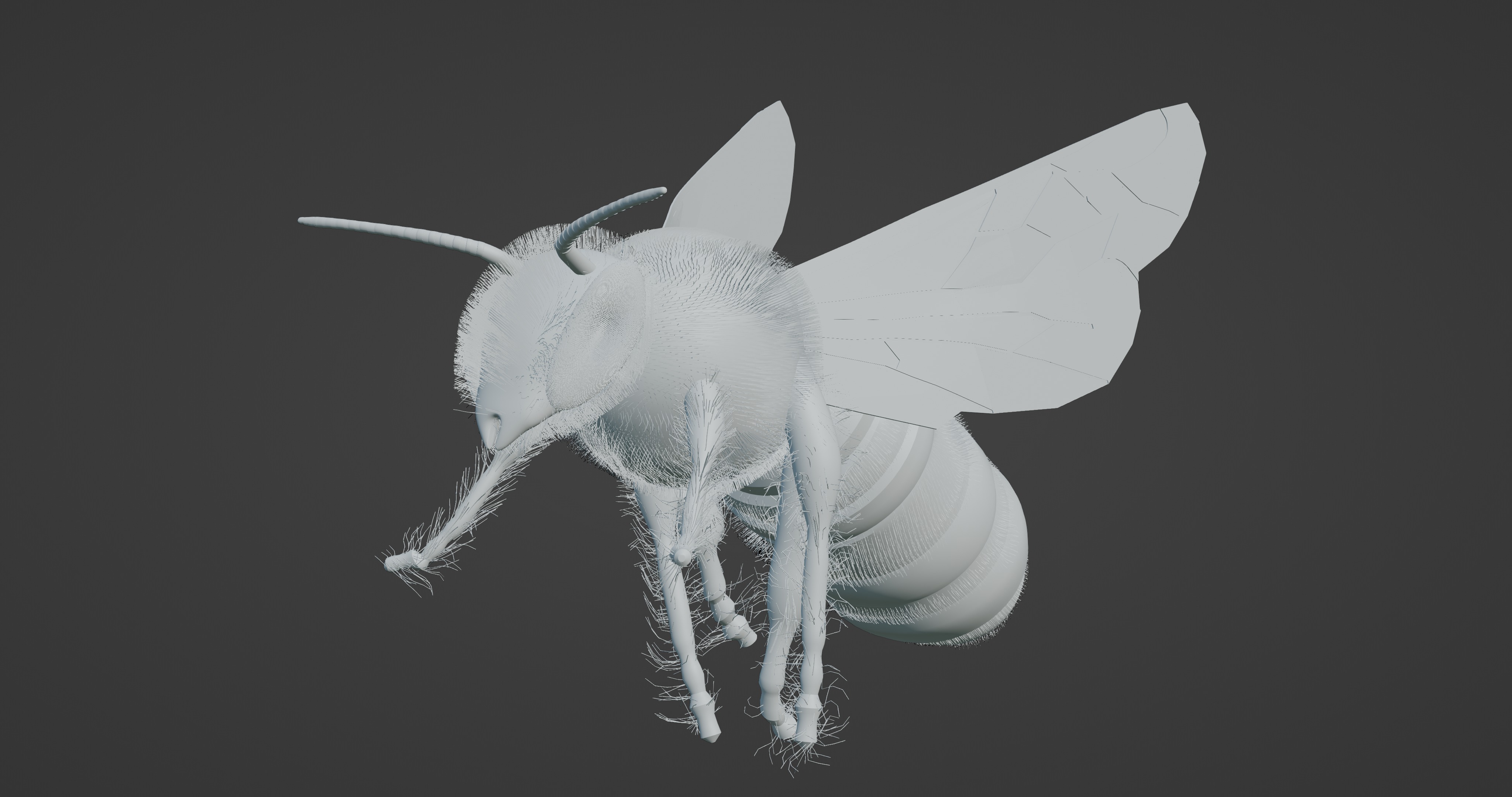 Honeybee 3D model_4