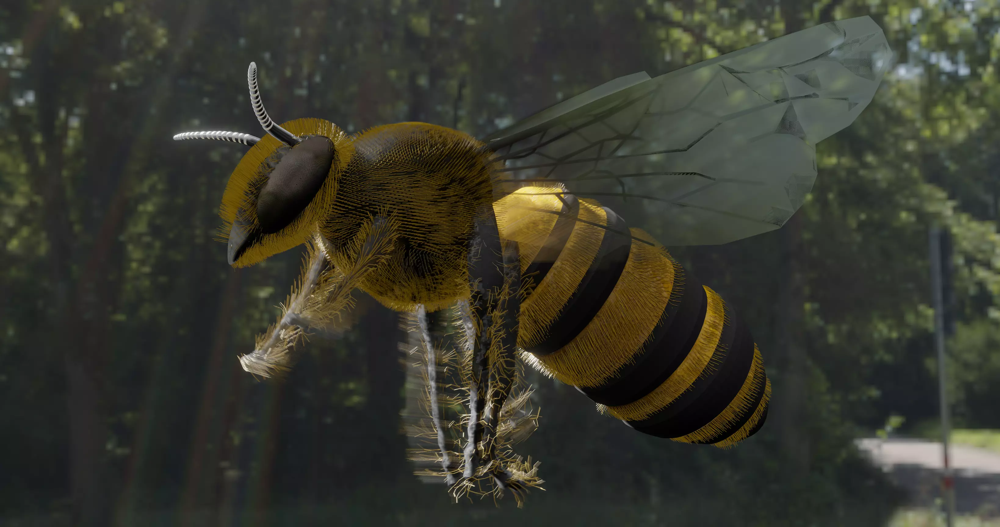 Honeybee 3D model_0
