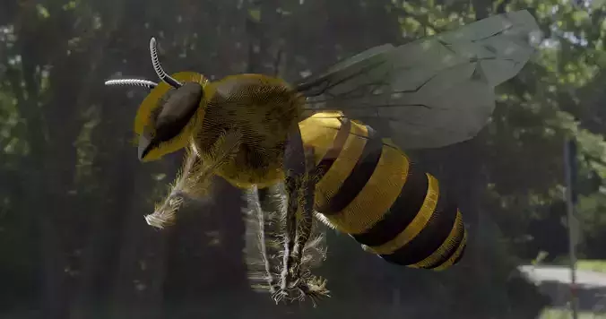 Honeybee 3D model