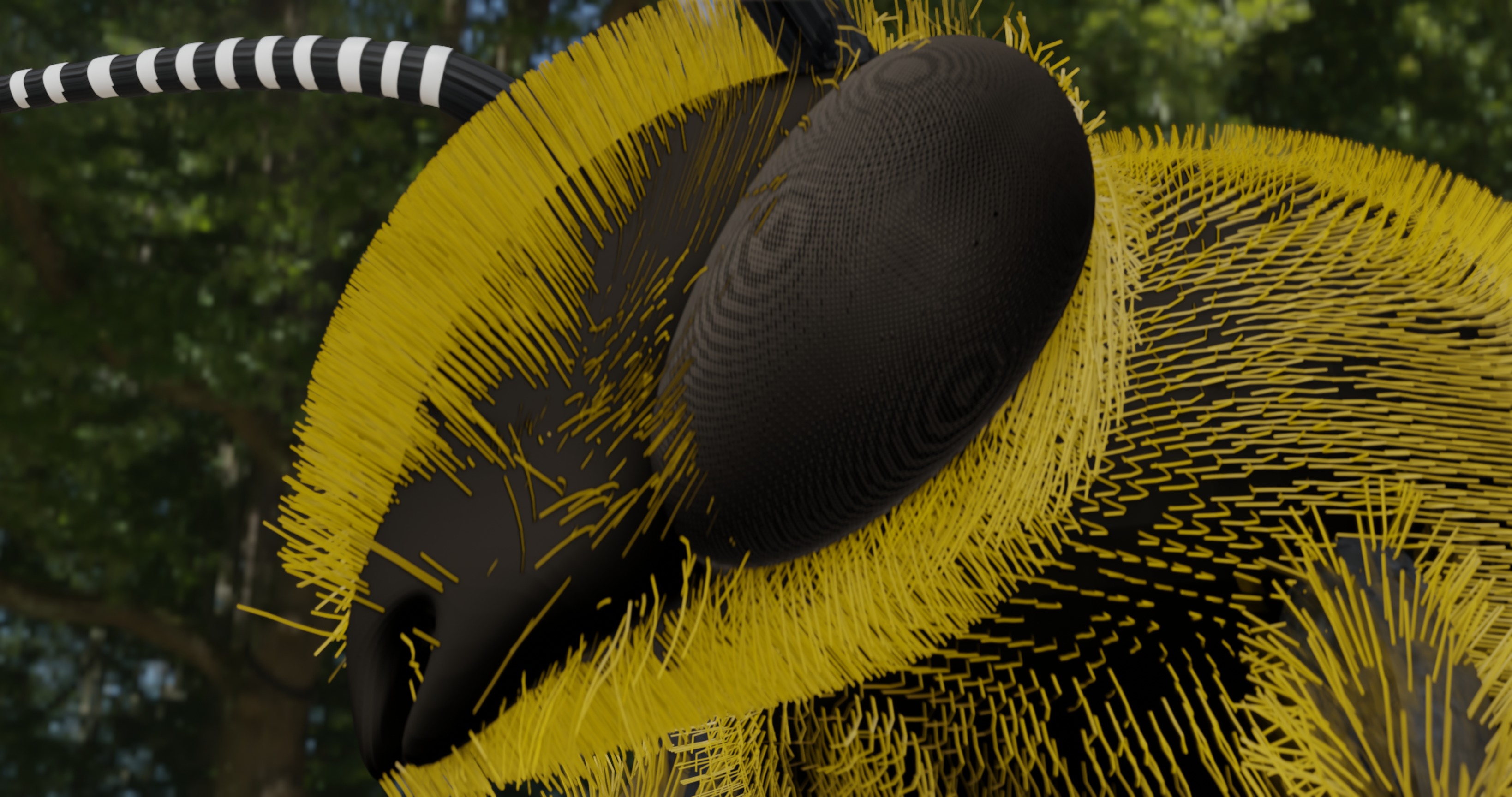 Honeybee 3D model_2