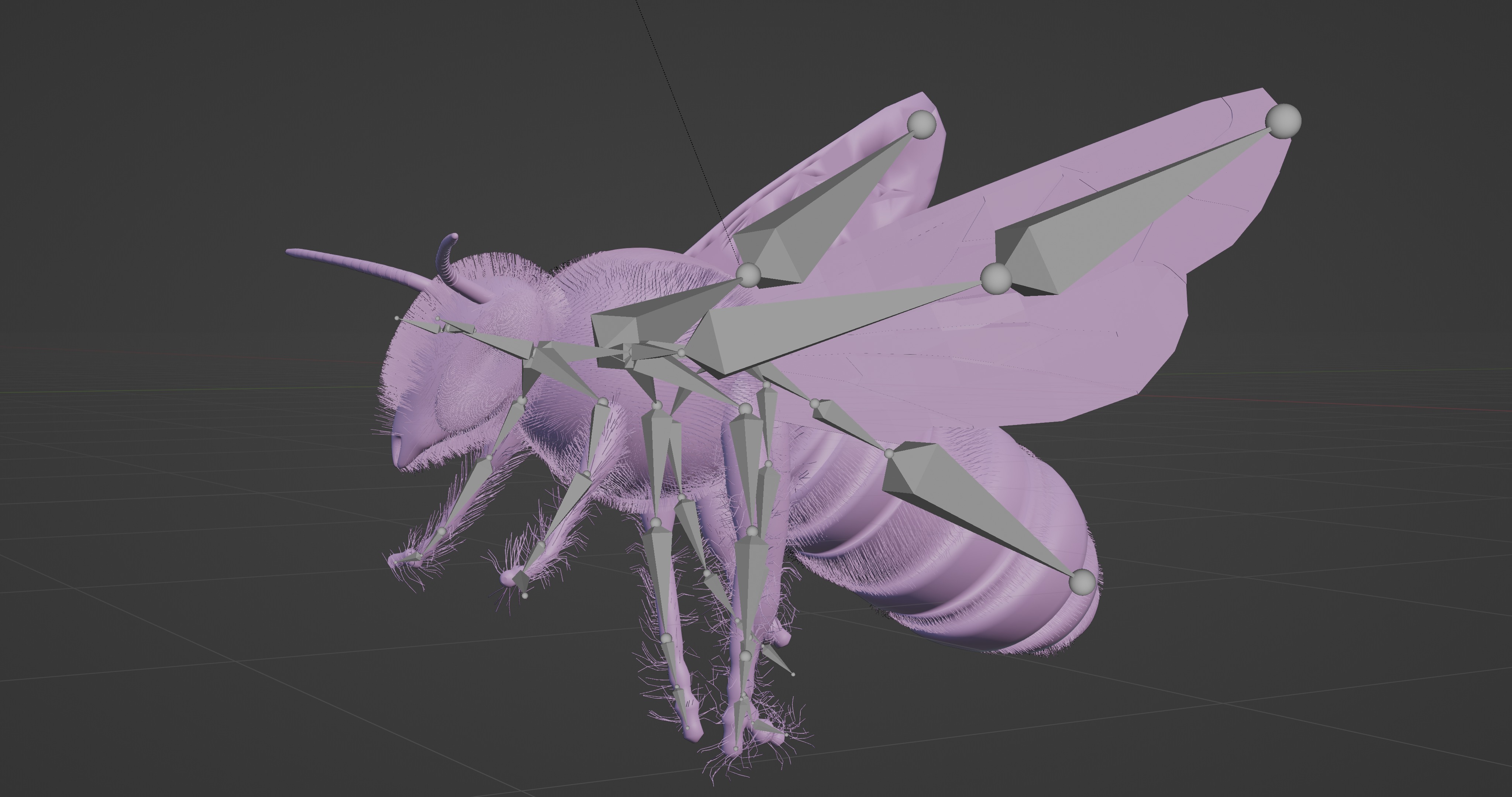 Honeybee 3D model_3