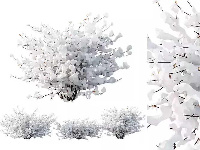 AV Plants Abelia X Grandiflora Red Glossy Radiance Winter Snow 3D model