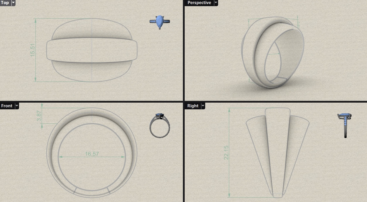 free form ring N24 3D print model_9