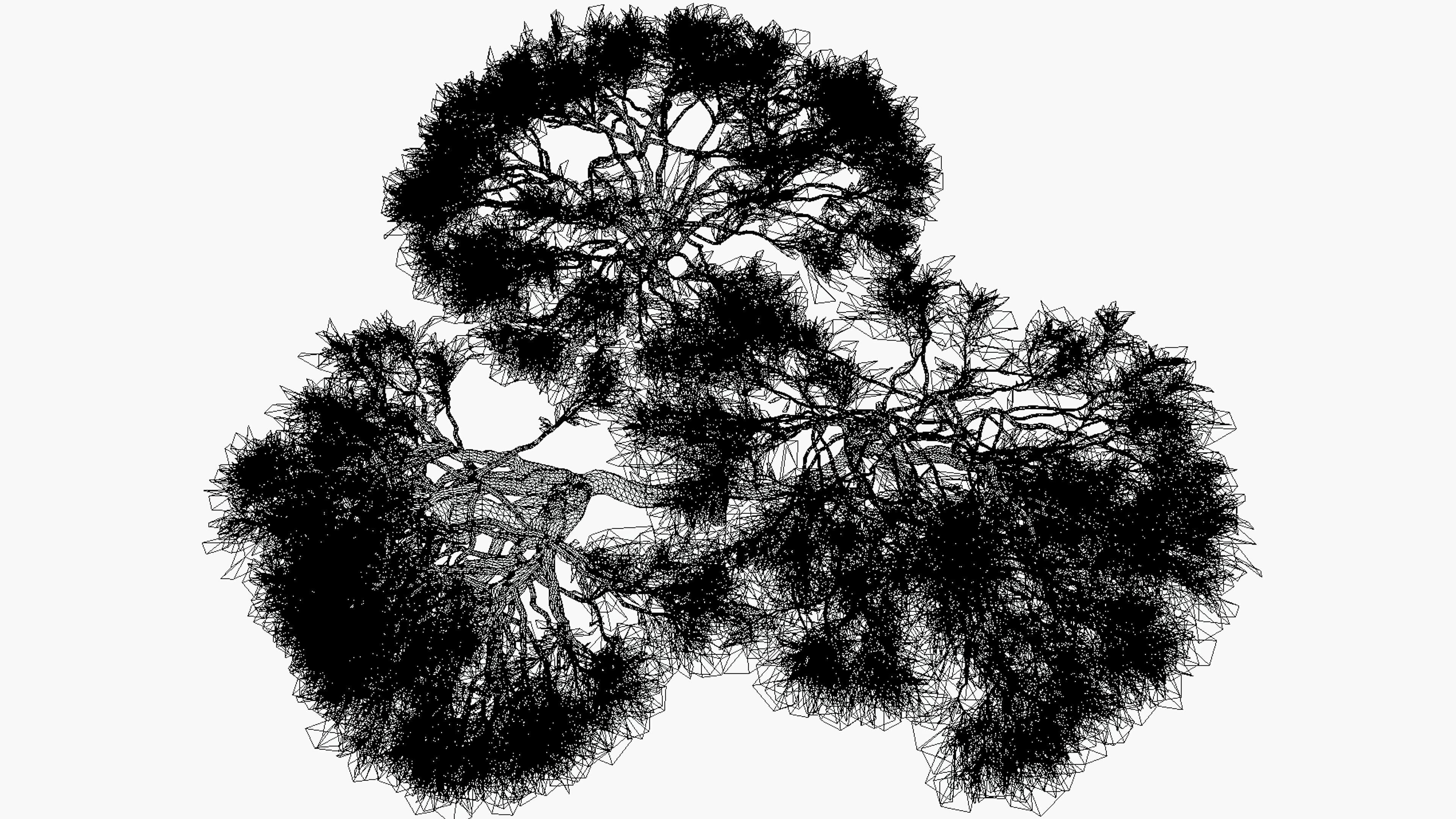 African Acacia Tree-S6 Low-poly 3D model_7