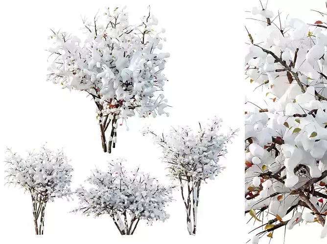 AV Plants Bush Small Winter Snow 3D model
