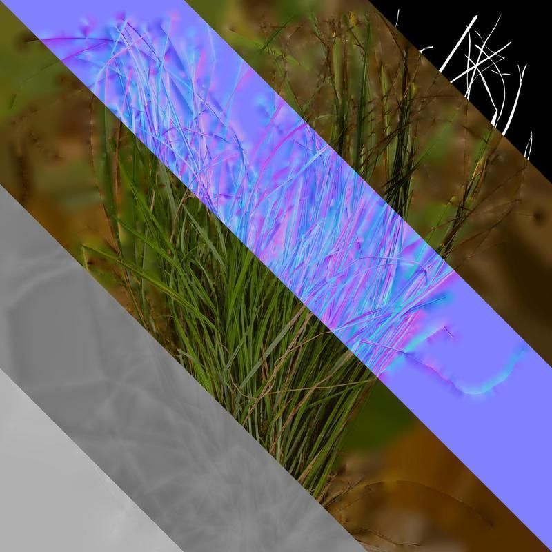 Anydrafts Carex breviculmis Atlas 02 Texture_8