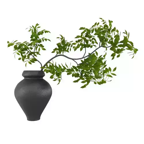 Green plant in dark grey vase 3D model