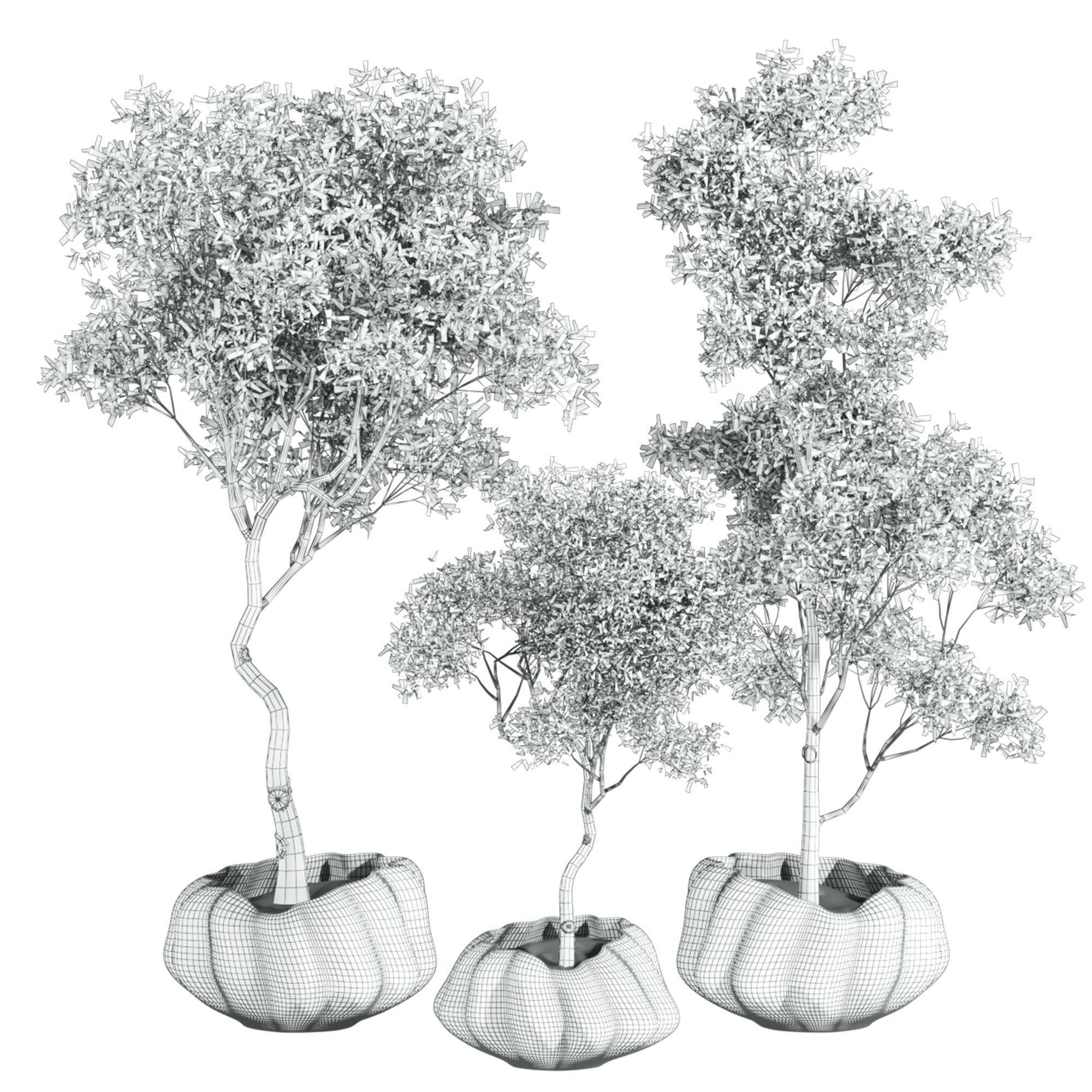 Plants Set 3D model_3