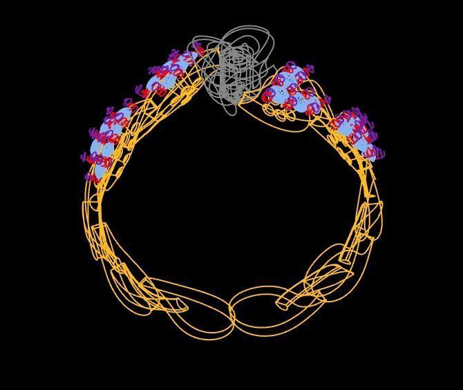 Diamond Rose Ring RG04 3D print model_6