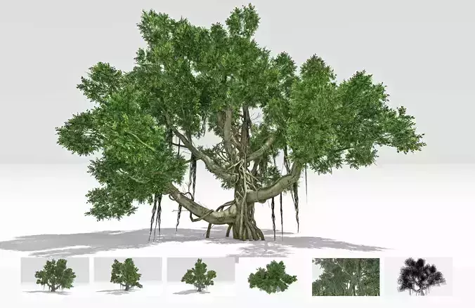 Chinese Banyan Tree-S1 Low-poly 3D model