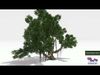 Chinese Banyan Tree-S1 Low-poly 3D model_1