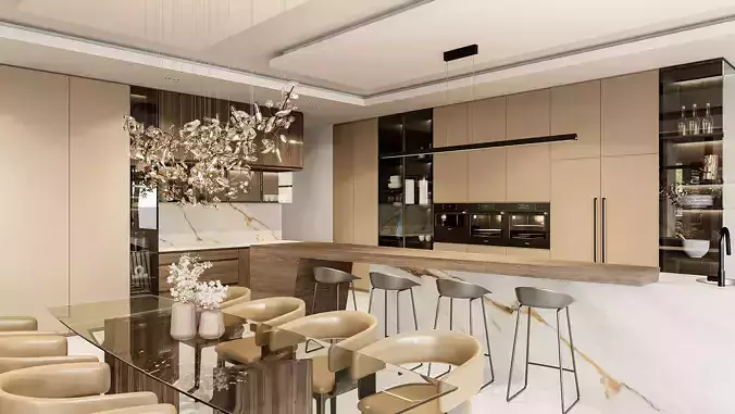 Interior Modern House