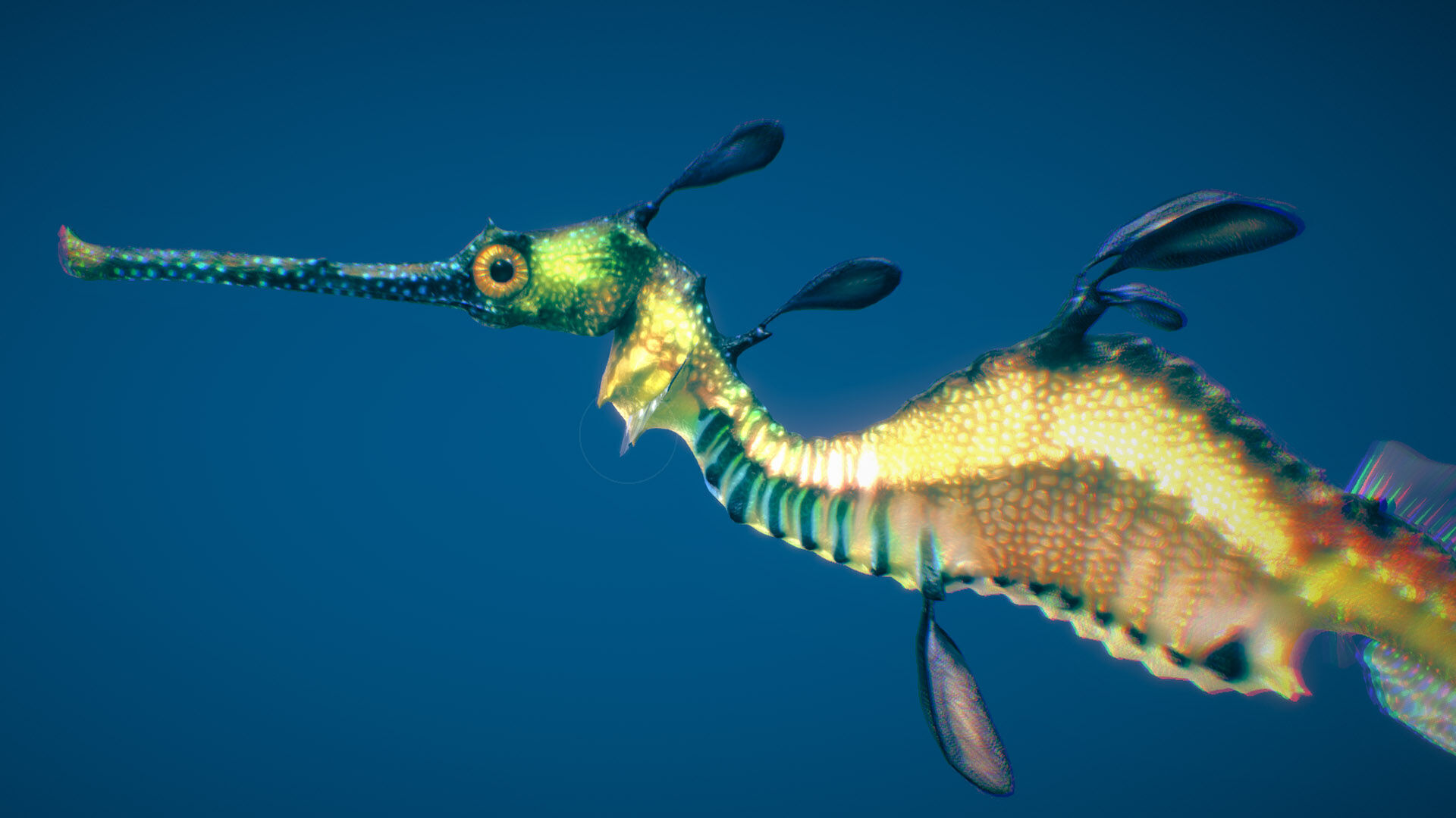Weedy Seadragon 3D model_5
