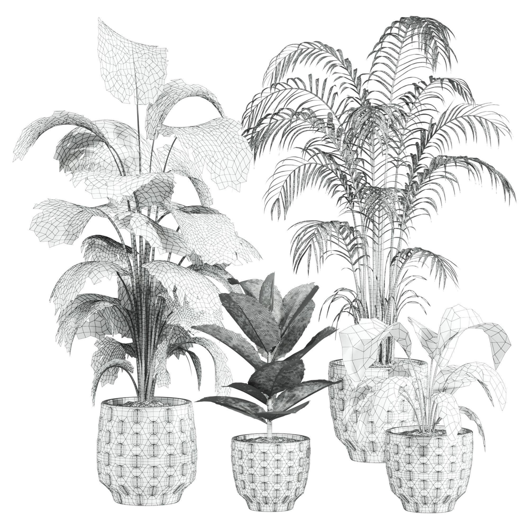 Plants Set 3D model_2