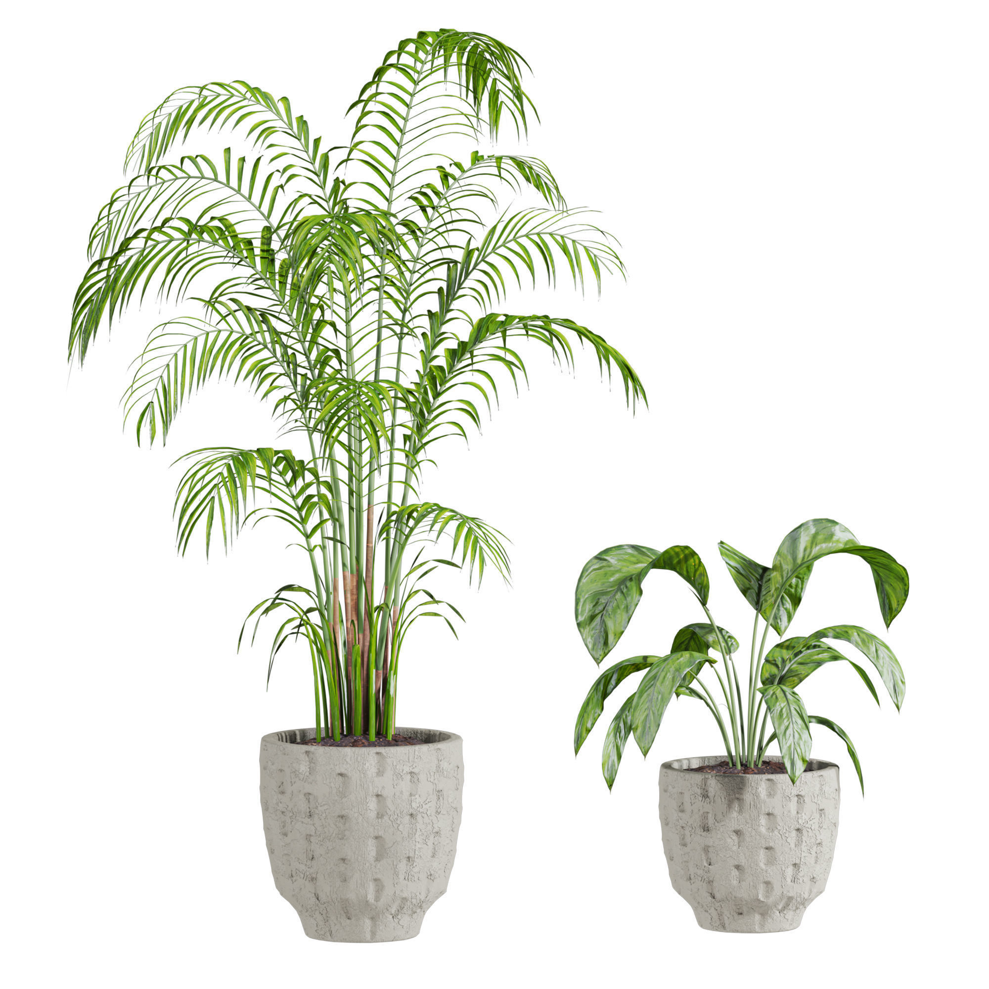 Plants Set 3D model_3